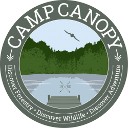 CampCanopy_logo_claims_4C